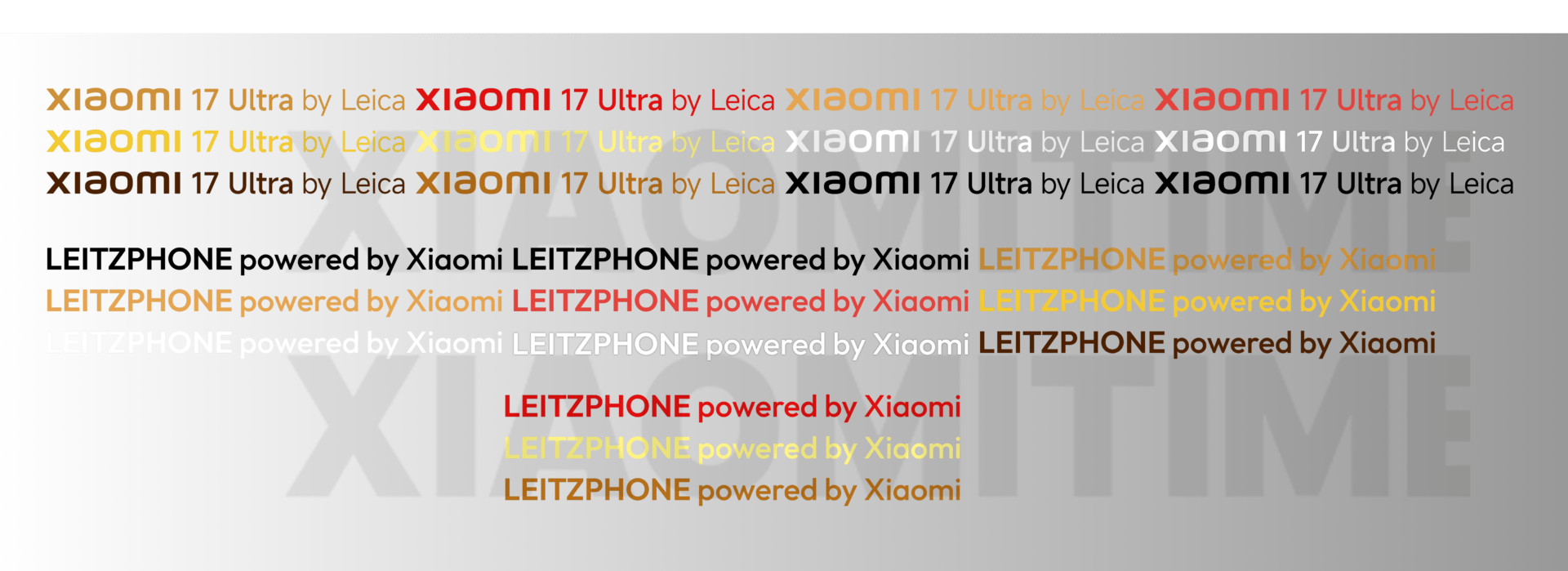Региональная стратегия брендинга Leica