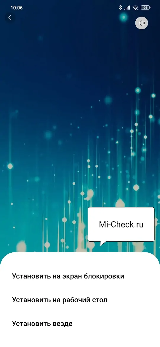 Выбор места для применения анимированных обоев в MIUI 12 на Xiaomi