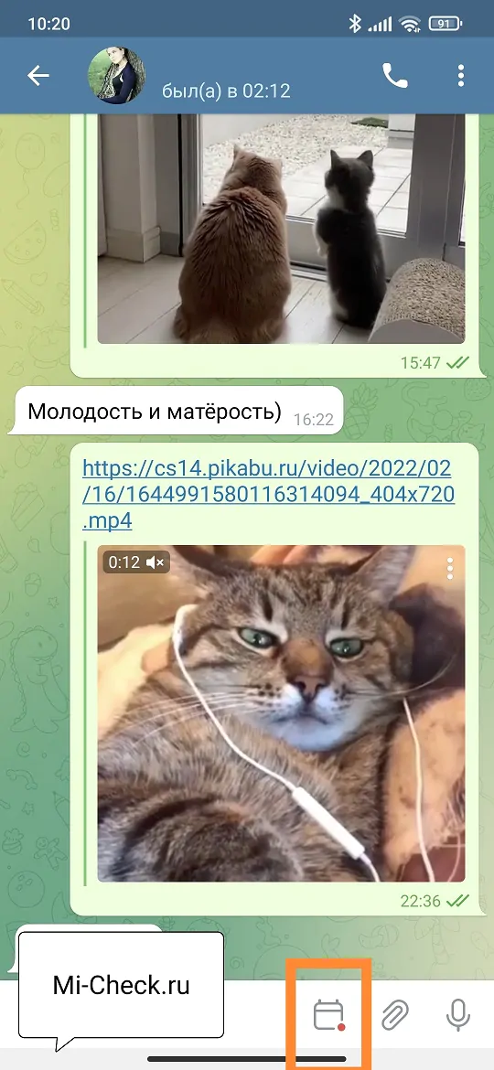 Меню с отложенными сообщениями для этого чата в Telegram на Xiaomi