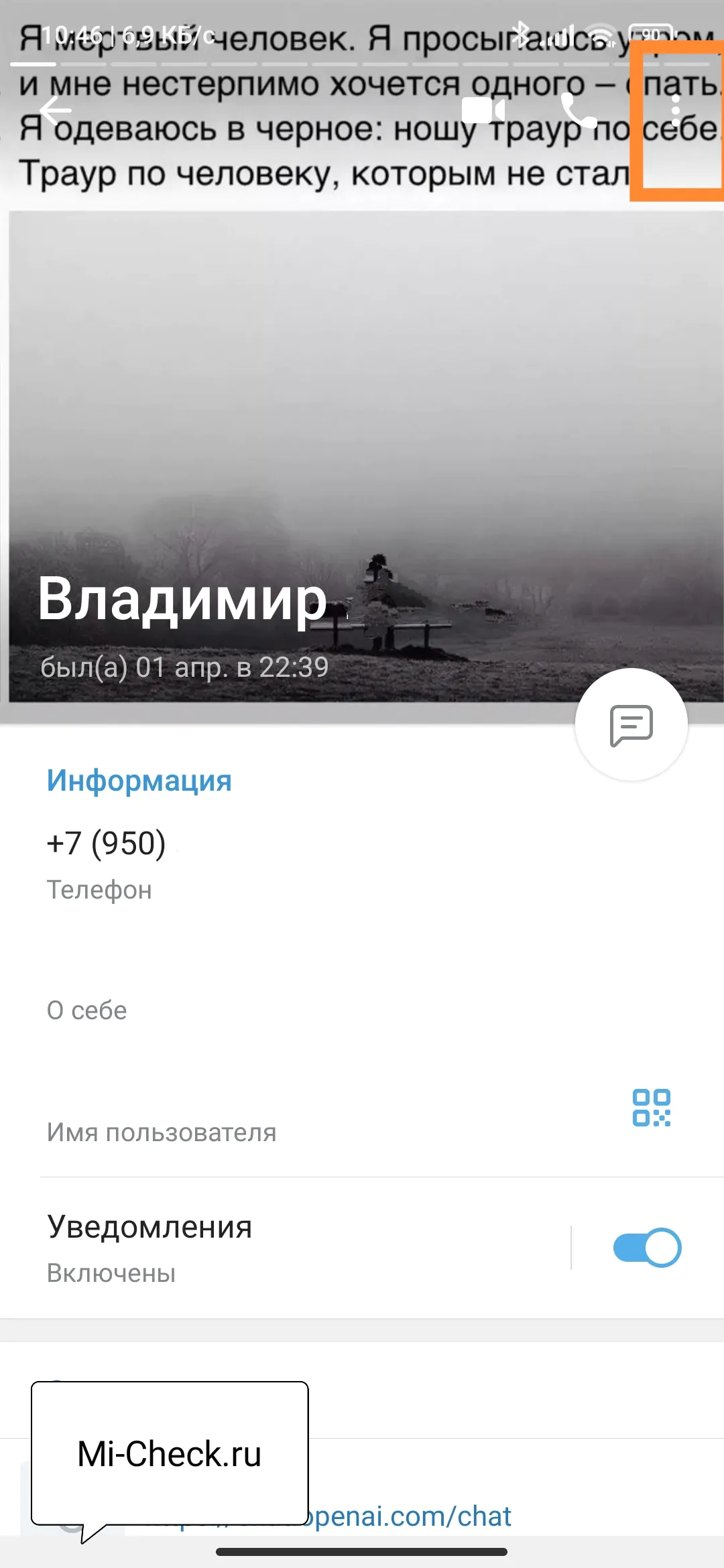 Вход в профиль пользователя в Telegram для автоудаления сообщений