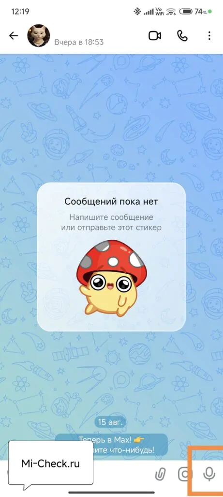 Запись голосового сообщения в Max