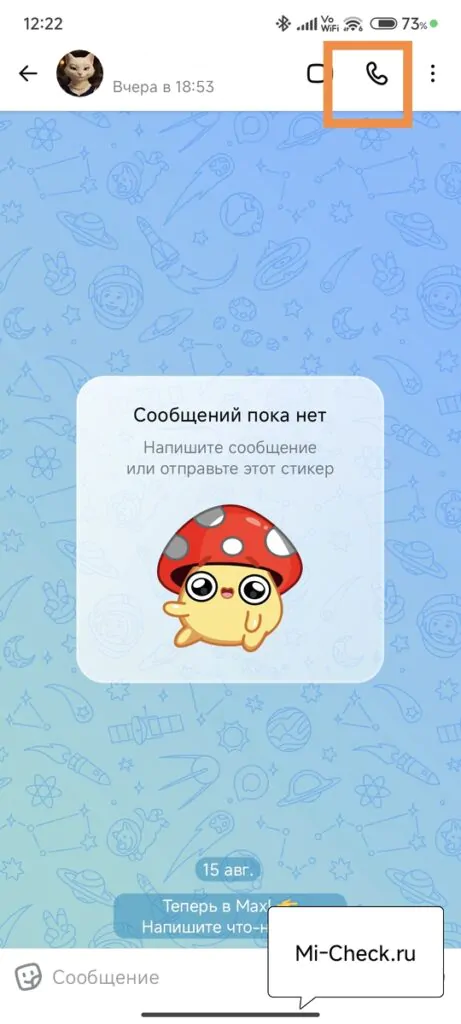 Телефонный звонок в Max