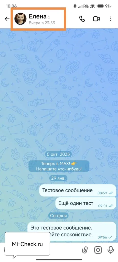 Аватар для доступа к удалению чата в Max